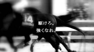 2011 JRA CM MAD 有馬記念 シルクジャスティス [upl. by Ellord]