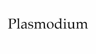 How to Pronounce Plasmodium [upl. by Siuqaj]