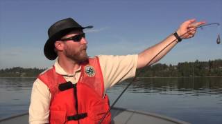 Fishing for Dogfish Shark in Puget Sound [upl. by Anitsirc]