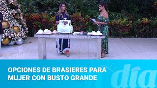 Opciones de brasieres para mujer con busto grande [upl. by Skier]