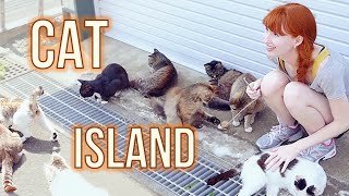 CAT ISLAND in Japan 猫島 宮城県 Tashirojima [upl. by Avlis364]