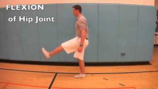 B14 Compare movements of the hip joint and knee joint [upl. by Berlin]