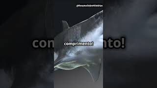 Megalodon o maior tubarão que já existiu [upl. by Sampson]