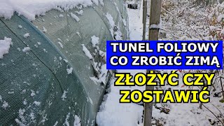 Tunel foliowy ZIMĄ  Zostawić czy Złożyć Plusy i Minusy każdego rozwiązania [upl. by Busiek736]