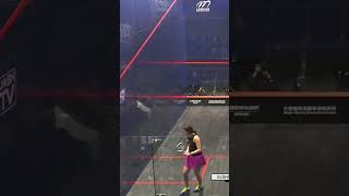 ✨A special finish from Watanabe 👏 squash psasquashtour [upl. by Courtland]