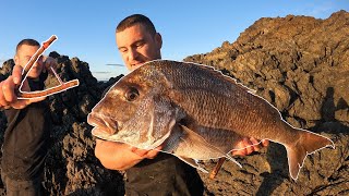 Biggest Snapper ever shot  homemade Slingshot [upl. by Januarius]