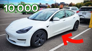 How Long Will My Tesla Model 3s Battery Last [upl. by Jenelle]