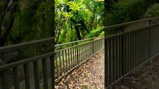 Осінь Charleville Mézières Ardenne France france life live nature [upl. by Nort]