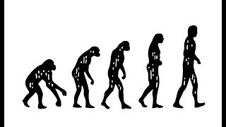 What is Darwin’s Theory of Evolution [upl. by Paolo]