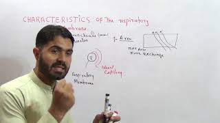 L1 CharacteristicsProperties of the respiratory membrane [upl. by Yenettirb278]