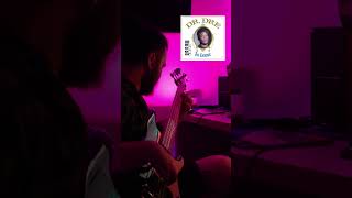 Nuthin but a quotGquot Thang Dr Dre ftsnoop dogg bass cover [upl. by Janene879]