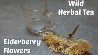 How to make elderberry flower tea [upl. by Parrisch]