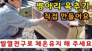 병아리 육추기 문달아주고 발열 전구로 따듯하게 해 주었어요 심심산방 [upl. by Rucker187]