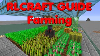 RLCRAFT Farming Everything You Need to Know [upl. by Eillam]