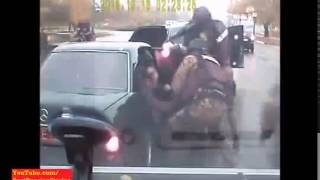 Russian Mafia boss Unexpected Arrest [upl. by Goodyear]