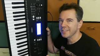 Yamaha PSREW310 A fun keyboard great sounds effects arpeggios and quotvoice articulationquot [upl. by Robinett311]