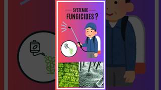 Systemic Fungicide [upl. by Naic496]