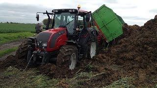 Wożenie Obornika WPADKA  Valtra T140 N101  Merlo P25 6 [upl. by Oiluarb]