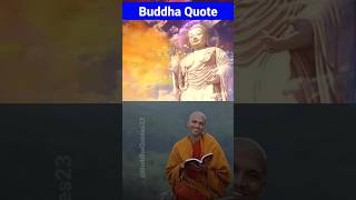 Buddha’s Most Profound Quotes and their meanings [upl. by Attej80]