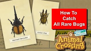 How to Catch Golden Stag Hercules Beetle and all Rare Bugs in Animal Crossing New Horizons [upl. by Aseek]