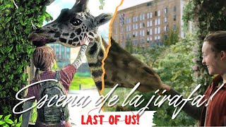 LA JIRAFA  La ESCENA más hermosa del juego PROYECTADA a la SERIE THE LAST OF US [upl. by Packer560]