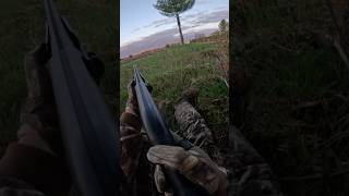 My first turkeys turkey hunt [upl. by Ysteb]