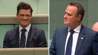 Australian MP proposes to partner during samesex marriage debate in parliament [upl. by Royden]