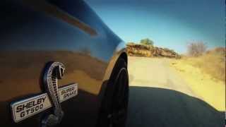 Ford Mustang Shelby GT500 Super Snake Test Drive [upl. by Gipson]