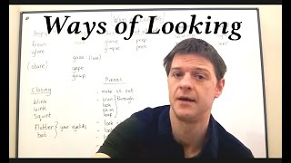 Vocabulary WAYS OF LOOKING Lesson 25 [upl. by Putnam30]