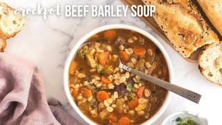 Amazing Beef Barley Soup Recipe using the Ninja Foodi Shorts [upl. by Eibbor643]