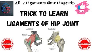 Trick to learn Ligament of Hip joint  Ligaments of Hip joint  hip joint  ligament mnemonicTrick [upl. by Rehpotisrhc681]