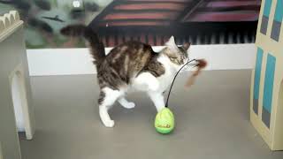 Petlinks® Wild Thing™ electronic cat toy [upl. by Irovi335]