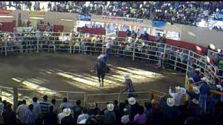 Jaripeo  Baile Seleccion Michoacana Moroleón Gto Arrolladora Banda El Limón [upl. by Kletter]