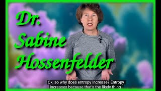 DrSabine Hossenfelder physicistscientisthero [upl. by Aierdna]