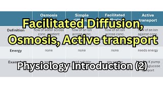 شرح فسيولوجي Facilitated diffusion Osmosis Active transport Pinocytosis [upl. by Colston]