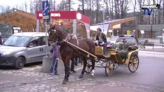 Wiadomości Lokalne Telewizji Tygodnika Podhalańskiego Wydanie 102014 [upl. by Garlinda]