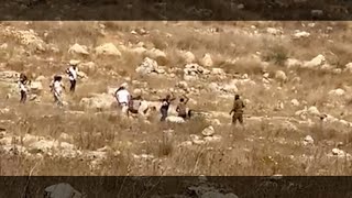 Israeli settlers attack olive harvesters and Border Police attack villagers aLubban alGharbiyah [upl. by Aisul]