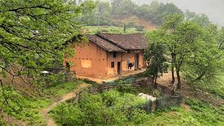 Fulfilling Her Mothers Wish Filial Girl Renovated and Builds Ancestral House in the Countryside [upl. by Tiga786]