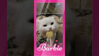 Cat’s Stunning Barbie Makeover Transformation [upl. by Sdlonyer604]