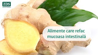 Alimente care refac mucoasa intestinală [upl. by Uri410]