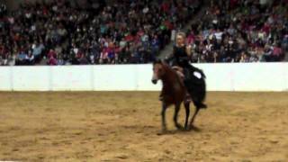 Stacy Wesfall 2011 Quarter Horse Congress Freestyle Reining [upl. by Chaney]