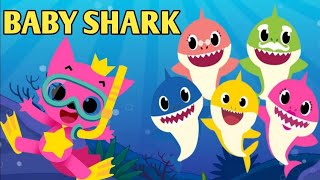 Baby Shark Song and dance Nursery Rhymes amp Kids Songs kidsvideo toddlers [upl. by Still105]