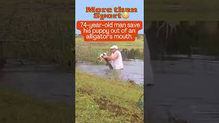 Unbelievable 74yearold man in Florida pulled his puppy out of an alligators mouth shorts [upl. by Forward269]