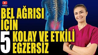 BEL AĞRISI İÇİN 5 KOLAY EGZERSİZ Bel fıtığı Bel düzleşmesi için [upl. by Bjork]