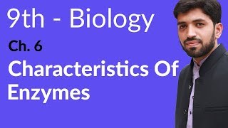 Matric part 1 Biology Characteristics of Enzymes Ch 6 Enzymes biology  9th Class Biology [upl. by Notsnarc]