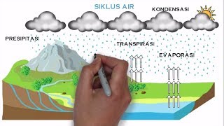 SIKLUS AIR SEAMOLEC  WHITEBOARD ANIMATION [upl. by Major53]