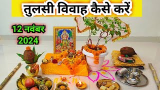 तुलसी विवाह कैसे करें  तुलसी विवाह पूजा विधि  Tulsi Vivah kaise karen [upl. by Ijic]