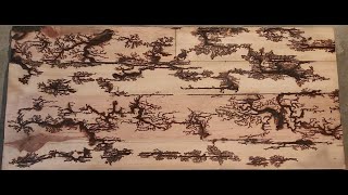 Fractal wood burning art 😎 Lichtenberg wood burning [upl. by Alvira]