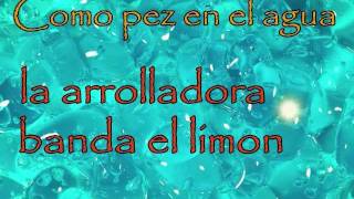 Como pez en el agua  La arrolladora Letra [upl. by Ssalguod]