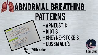 Abnormal Breathing Patterns  Respiratory Physiology [upl. by Wiggins]